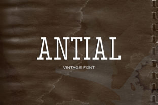 Antial: A Bold, Retro Serif Font That Works