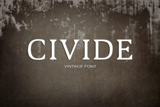 Civide: A Bold Retro Serif Font for Campaign Headlines