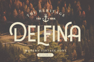 Delfina: A Retro Sans Serif Font for Editorial Charm
