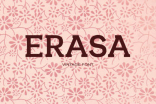 Erasa: A Bold, Retro-Inspired Serif Font for Small Business Branding