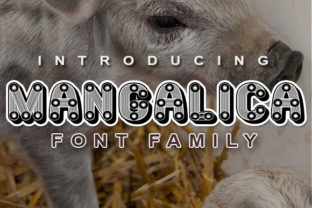 Mangalica: A Retro Decorative Font That Elevates Real Business Branding