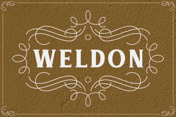 Weldon: A Bold Serif Font That Gives Your Brand Real Personality